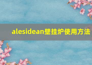 alesidean壁挂炉使用方法