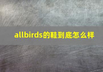 allbirds的鞋到底怎么样