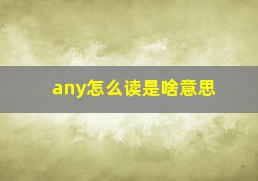 any怎么读是啥意思