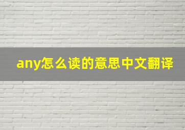 any怎么读的意思中文翻译