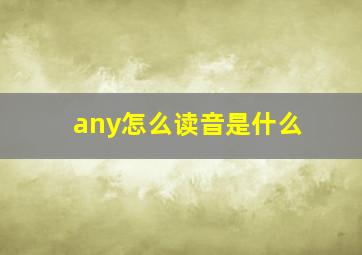 any怎么读音是什么