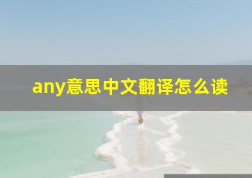 any意思中文翻译怎么读