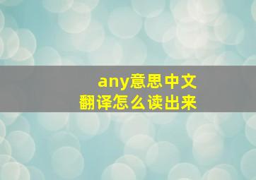 any意思中文翻译怎么读出来