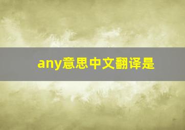 any意思中文翻译是