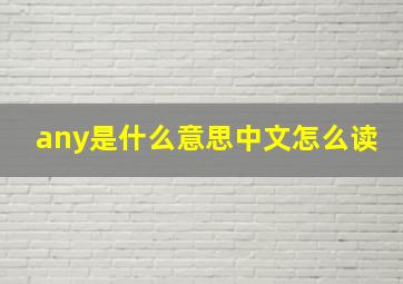 any是什么意思中文怎么读