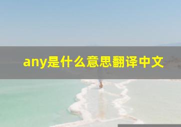 any是什么意思翻译中文