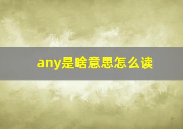 any是啥意思怎么读