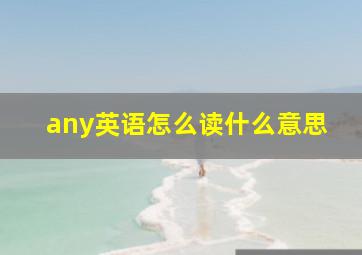 any英语怎么读什么意思