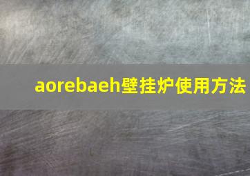 aorebaeh壁挂炉使用方法