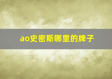 ao史密斯哪里的牌子