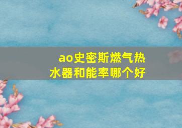 ao史密斯燃气热水器和能率哪个好