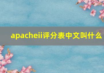 apacheii评分表中文叫什么