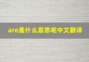 are是什么意思呢中文翻译