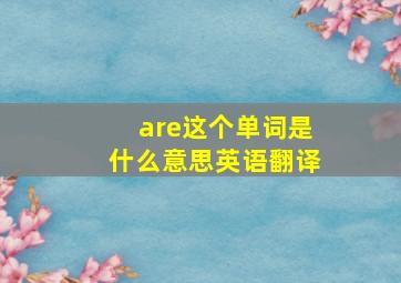 are这个单词是什么意思英语翻译