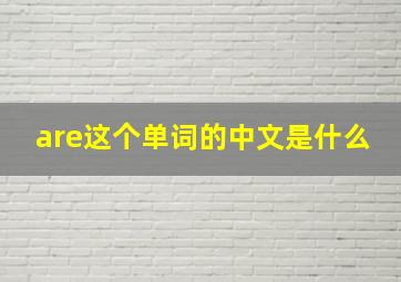 are这个单词的中文是什么