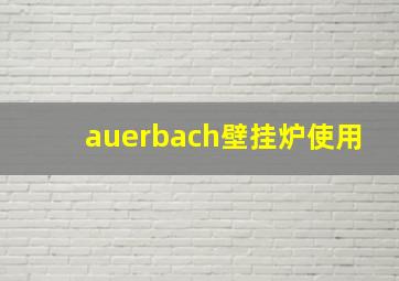 auerbach壁挂炉使用