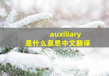 auxiliary是什么意思中文翻译