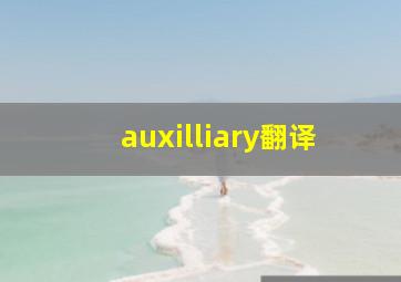 auxilliary翻译