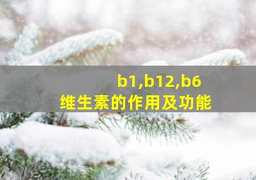 b1,b12,b6维生素的作用及功能