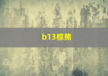 b13棕熊