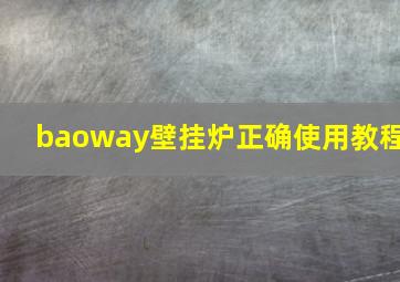 baoway壁挂炉正确使用教程