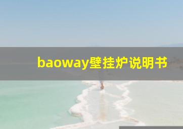 baoway壁挂炉说明书