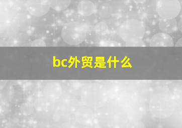 bc外贸是什么