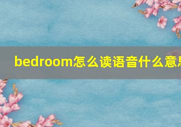 bedroom怎么读语音什么意思