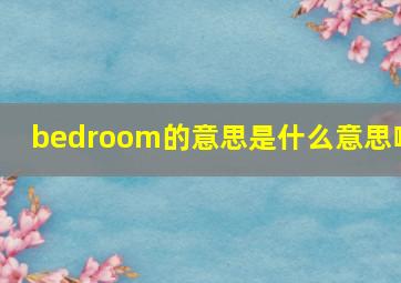 bedroom的意思是什么意思啊