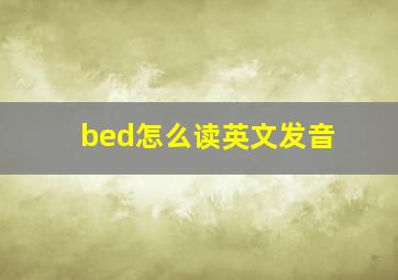 bed怎么读英文发音