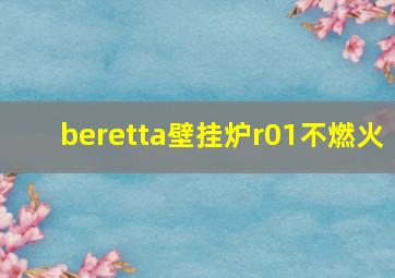 beretta壁挂炉r01不燃火