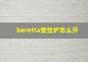 beretta壁挂炉怎么开