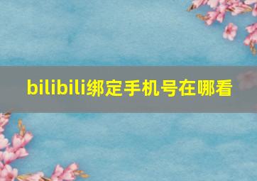 bilibili绑定手机号在哪看