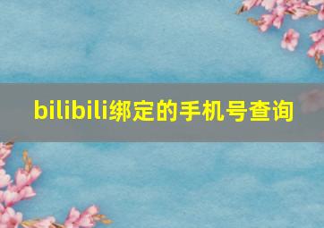 bilibili绑定的手机号查询