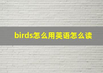 birds怎么用英语怎么读