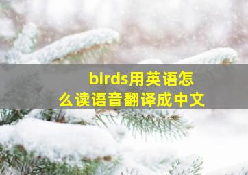 birds用英语怎么读语音翻译成中文