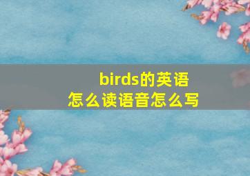 birds的英语怎么读语音怎么写