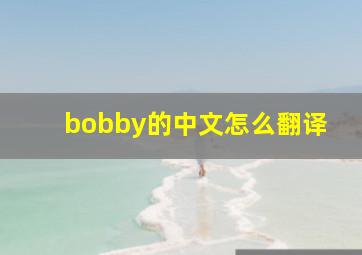 bobby的中文怎么翻译