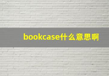 bookcase什么意思啊