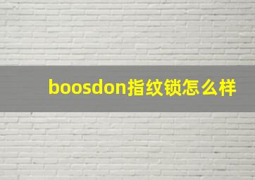 boosdon指纹锁怎么样