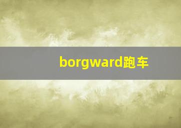 borgward跑车