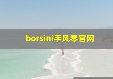 borsini手风琴官网