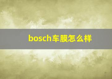 bosch车膜怎么样