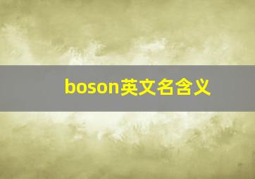 boson英文名含义