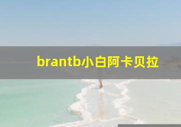 brantb小白阿卡贝拉