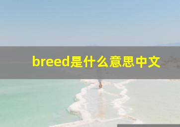 breed是什么意思中文