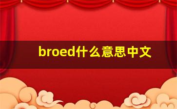 broed什么意思中文