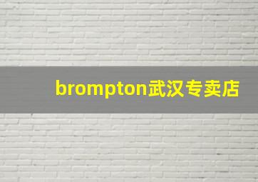 brompton武汉专卖店