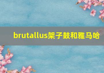 brutallus架子鼓和雅马哈