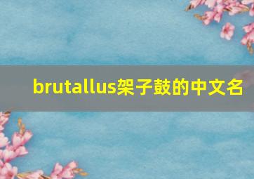 brutallus架子鼓的中文名